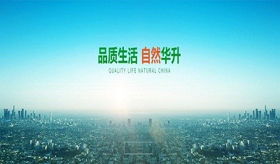 湖南华升集团公司市场深度分析及发展趋势研究