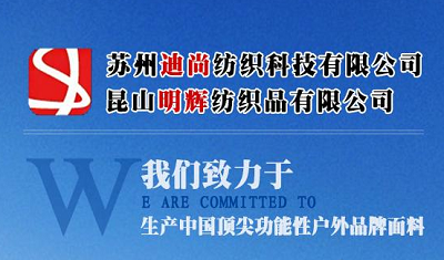 苏州迪尚纺织科技有限公司市场深度分析及发展趋势研究预测报告